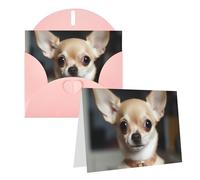 Blank Greetings Card 4'' X 6'' With Envelopes, Cute Chihuahua Thank You Cards Note Cards Pink All Occasion Cards For Christmas Holidays Birthday Graduation Anniversaries