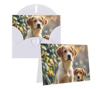 Blank Greetings Card 4'' X 6'' With Envelopes, Cute Dogs Animal Thank You Cards Note Cards White All Occasion Cards For Christmas Holidays Birthday Graduation Anniversaries