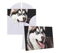 Blank Greetings Card 4'' X 6'' With Envelopes, Cute Husky Dog Thank You Cards Note Cards White All Occasion Cards For Christmas Holidays Birthday Graduation Anniversaries