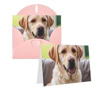 Blank Greetings Card 4'' X 6'' With Envelopes, Cute Labrador Dog Thank You Cards Note Cards Pink All Occasion Cards For Christmas Holidays Birthday Graduation Anniversaries