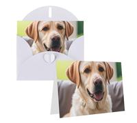 Blank Greetings Card 4'' X 6'' With Envelopes, Cute Labrador Dog Thank You Cards Note Cards White All Occasion Cards For Christmas Holidays Birthday Graduation Anniversaries