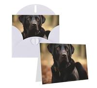 Blank Greetings Card 4'' X 6'' With Envelopes, Cute Labrador Dog Thank You Cards Note Cards White All Occasion Cards For Christmas Holidays Birthday Graduation Anniversaries