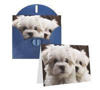 Blank Greetings Card 4'' X 6'' With Envelopes, Cute Maltese Puppy Thank You Cards Note Cards Blue All Occasion Cards For Christmas Holidays Birthday Graduation Anniversaries