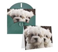 Blank Greetings Card 4'' X 6'' With Envelopes, Cute Maltese Puppy Thank You Cards Note Cards Dark Green All Occasion Cards For Christmas Holidays Birthday Graduation Anniversaries
