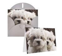 Blank Greetings Card 4'' X 6'' With Envelopes, Cute Maltese Puppy Thank You Cards Note Cards Gray All Occasion Cards For Christmas Holidays Birthday Graduation Anniversaries