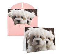 Blank Greetings Card 4'' X 6'' With Envelopes, Cute Maltese Puppy Thank You Cards Note Cards Pink All Occasion Cards For Christmas Holidays Birthday Graduation Anniversaries