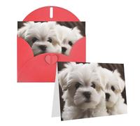 Blank Greetings Card 4'' X 6'' With Envelopes, Cute Maltese Puppy Thank You Cards Note Cards Red All Occasion Cards For Christmas Holidays Birthday Graduation Anniversaries