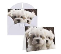 Blank Greetings Card 4'' X 6'' With Envelopes, Cute Maltese Puppy Thank You Cards Note Cards White All Occasion Cards For Christmas Holidays Birthday Graduation Anniversaries