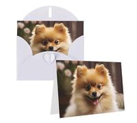 Blank Greetings Card 4'' X 6'' With Envelopes, Cute Pomeranian Dog Thank You Cards Note Cards White All Occasion Cards For Christmas Holidays Birthday Graduation Anniversaries