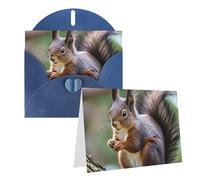 Blank Greetings Card 4'' X 6'' With Envelopes, Cute Squirrel Thank You Cards Note Cards Blue All Occasion Cards For Christmas Holidays Birthday Graduation Anniversaries