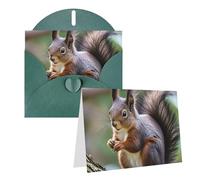 Blank Greetings Card 4'' X 6'' With Envelopes, Cute Squirrel Thank You Cards Note Cards Dark Green All Occasion Cards For Christmas Holidays Birthday Graduation Anniversaries