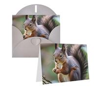 Blank Greetings Card 4'' X 6'' With Envelopes, Cute Squirrel Thank You Cards Note Cards Gray All Occasion Cards For Christmas Holidays Birthday Graduation Anniversaries