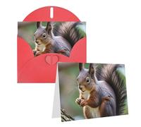 Blank Greetings Card 4'' X 6'' With Envelopes, Cute Squirrel Thank You Cards Note Cards Red All Occasion Cards For Christmas Holidays Birthday Graduation Anniversaries