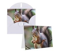 Blank Greetings Card 4'' X 6'' With Envelopes, Cute Squirrel Thank You Cards Note Cards White All Occasion Cards For Christmas Holidays Birthday Graduation Anniversaries