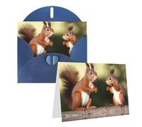 Blank Greetings Card 4'' X 6'' With Envelopes, Cute Squirrels Thank You Cards Note Cards Blue All Occasion Cards For Christmas Holidays Birthday Graduation Anniversaries