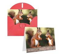 Blank Greetings Card 4'' X 6'' With Envelopes, Cute Squirrels Thank You Cards Note Cards Red All Occasion Cards For Christmas Holidays Birthday Graduation Anniversaries