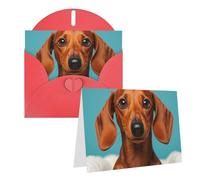 Blank Greetings Card 4'' X 6'' With Envelopes, Dachshund Dog Thank You Cards Note Cards Red All Occasion Cards For Christmas Holidays Birthday Graduation Anniversaries