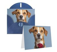 Blank Greetings Card 4'' X 6'' With Envelopes, Dog Holding A Rose Thank You Cards Note Cards Blue All Occasion Cards For Christmas Holidays Birthday Graduation Anniversaries