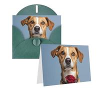 Blank Greetings Card 4'' X 6'' With Envelopes, Dog Holding A Rose Thank You Cards Note Cards Dark Green All Occasion Cards For Christmas Holidays Birthday Graduation Anniversaries