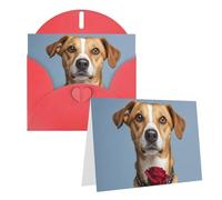 Blank Greetings Card 4'' X 6'' With Envelopes, Dog Holding A Rose Thank You Cards Note Cards Red All Occasion Cards For Christmas Holidays Birthday Graduation Anniversaries