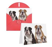 Blank Greetings Card 4'' X 6'' With Envelopes, English Bulldogs Thank You Cards Note Cards Red All Occasion Cards For Christmas Holidays Birthday Graduation Anniversaries