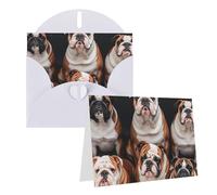 Blank Greetings Card 4'' X 6'' With Envelopes, English Bulldogs Thank You Cards Note Cards White All Occasion Cards For Christmas Holidays Birthday Graduation Anniversaries