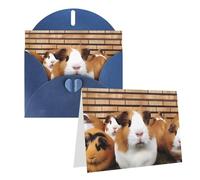 Blank Greetings Card 4'' X 6'' With Envelopes, Guinea Pigs Thank You Cards Note Cards Blue All Occasion Cards For Christmas Holidays Birthday Graduation Anniversaries