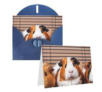 Blank Greetings Card 4'' X 6'' With Envelopes, Guinea Pigs Thank You Cards Note Cards Blue All Occasion Cards For Christmas Holidays Birthday Graduation Anniversaries