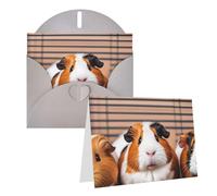 Blank Greetings Card 4'' X 6'' With Envelopes, Guinea Pigs Thank You Cards Note Cards Gray All Occasion Cards For Christmas Holidays Birthday Graduation Anniversaries