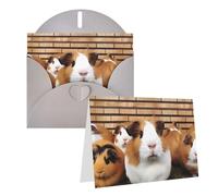 Blank Greetings Card 4'' X 6'' With Envelopes, Guinea Pigs Thank You Cards Note Cards Gray All Occasion Cards For Christmas Holidays Birthday Graduation Anniversaries