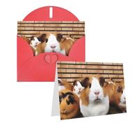 Blank Greetings Card 4'' X 6'' With Envelopes, Guinea Pigs Thank You Cards Note Cards Red All Occasion Cards For Christmas Holidays Birthday Graduation Anniversaries