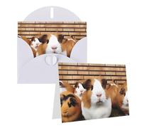 Blank Greetings Card 4'' X 6'' With Envelopes, Guinea Pigs Thank You Cards Note Cards White All Occasion Cards For Christmas Holidays Birthday Graduation Anniversaries