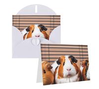 Blank Greetings Card 4'' X 6'' With Envelopes, Guinea Pigs Thank You Cards Note Cards White All Occasion Cards For Christmas Holidays Birthday Graduation Anniversaries