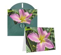 Blank Greetings Card 4'' X 6'' With Envelopes, Hawaii Tropical Flower Thank You Cards Note Cards Dark Green All Occasion Cards For Christmas Holidays Birthday Graduation Anniversaries