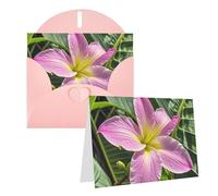 Blank Greetings Card 4'' X 6'' With Envelopes, Hawaii Tropical Flower Thank You Cards Note Cards Pink All Occasion Cards For Christmas Holidays Birthday Graduation Anniversaries