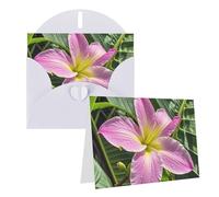 Blank Greetings Card 4'' X 6'' With Envelopes, Hawaii Tropical Flower Thank You Cards Note Cards White All Occasion Cards For Christmas Holidays Birthday Graduation Anniversaries