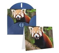Blank Greetings Card 4'' X 6'' With Envelopes, Little Red Panda Thank You Cards Note Cards Blue All Occasion Cards For Christmas Holidays Birthday Graduation Anniversaries
