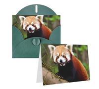 Blank Greetings Card 4'' X 6'' With Envelopes, Little Red Panda Thank You Cards Note Cards Dark Green All Occasion Cards For Christmas Holidays Birthday Graduation Anniversaries