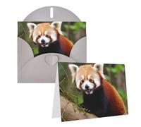 Blank Greetings Card 4'' X 6'' With Envelopes, Little Red Panda Thank You Cards Note Cards Gray All Occasion Cards For Christmas Holidays Birthday Graduation Anniversaries