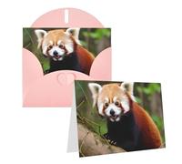 Blank Greetings Card 4'' X 6'' With Envelopes, Little Red Panda Thank You Cards Note Cards Pink All Occasion Cards For Christmas Holidays Birthday Graduation Anniversaries