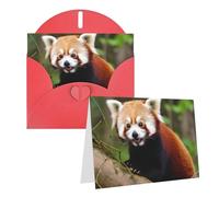 Blank Greetings Card 4'' X 6'' With Envelopes, Little Red Panda Thank You Cards Note Cards Red All Occasion Cards For Christmas Holidays Birthday Graduation Anniversaries