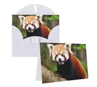 Blank Greetings Card 4'' X 6'' With Envelopes, Little Red Panda Thank You Cards Note Cards White All Occasion Cards For Christmas Holidays Birthday Graduation Anniversaries