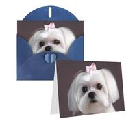 Blank Greetings Card 4'' X 6'' With Envelopes, Lovely Maltese Dog Thank You Cards Note Cards Blue All Occasion Cards For Christmas Holidays Birthday Graduation Anniversaries