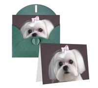 Blank Greetings Card 4'' X 6'' With Envelopes, Lovely Maltese Dog Thank You Cards Note Cards Dark Green All Occasion Cards For Christmas Holidays Birthday Graduation Anniversaries