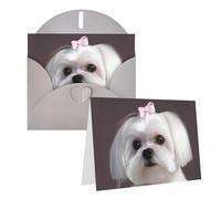 Blank Greetings Card 4'' X 6'' With Envelopes, Lovely Maltese Dog Thank You Cards Note Cards Gray All Occasion Cards For Christmas Holidays Birthday Graduation Anniversaries