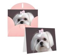 Blank Greetings Card 4'' X 6'' With Envelopes, Lovely Maltese Dog Thank You Cards Note Cards Pink All Occasion Cards For Christmas Holidays Birthday Graduation Anniversaries