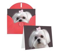 Blank Greetings Card 4'' X 6'' With Envelopes, Lovely Maltese Dog Thank You Cards Note Cards Red All Occasion Cards For Christmas Holidays Birthday Graduation Anniversaries