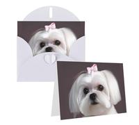 Blank Greetings Card 4'' X 6'' With Envelopes, Lovely Maltese Dog Thank You Cards Note Cards White All Occasion Cards For Christmas Holidays Birthday Graduation Anniversaries
