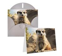 Blank Greetings Card 4'' X 6'' With Envelopes, Meerkat Animal Thank You Cards Note Cards Gray All Occasion Cards For Christmas Holidays Birthday Graduation Anniversaries
