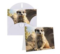 Blank Greetings Card 4'' X 6'' With Envelopes, Meerkat Animal Thank You Cards Note Cards White All Occasion Cards For Christmas Holidays Birthday Graduation Anniversaries